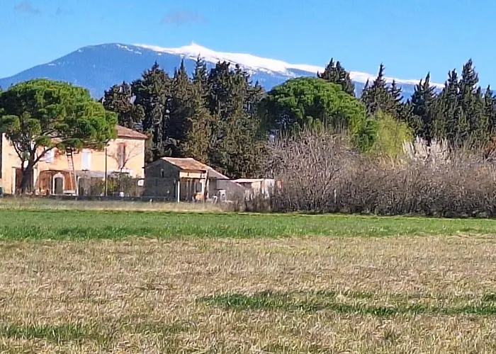 Gite Mas De La Restanque