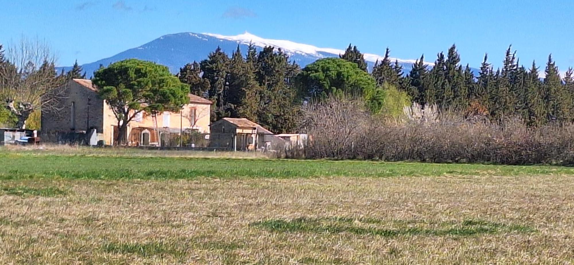 Mas De La Restanque Holiday home